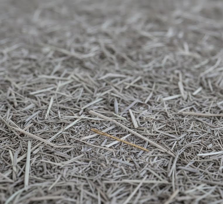 Hero image for Duolingo (DUOL): The Future of Education or the Needle Destined to be Lost in the Ever Growing Haystack